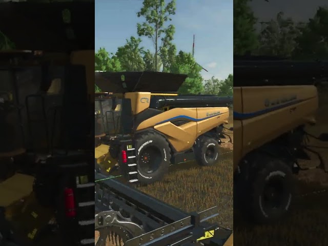 LS25 Raps - Rapspreis #LS25 #farmingsimulator25 #FS25 #landwirtschaft #landwirtschaftssimulator25