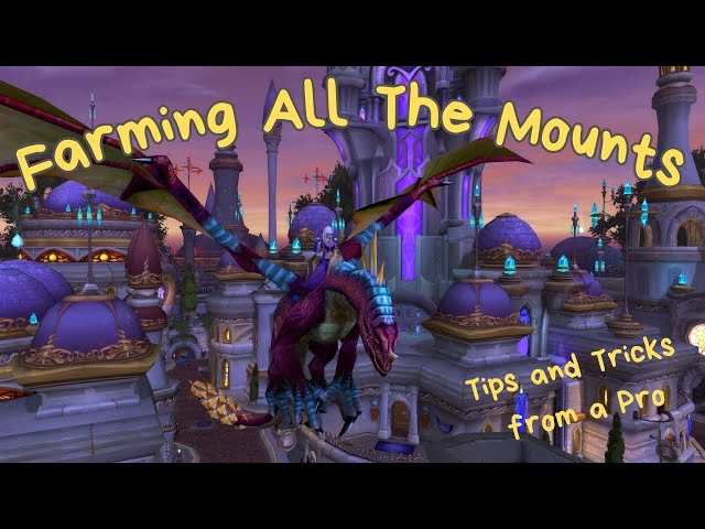 Collectors Bounty Tips From a Pro Collector