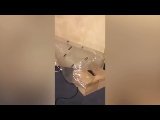 UNUSUAL MEMES COMPILATION - FUNNY VIDEOS - TRY NOT TO LAUGH