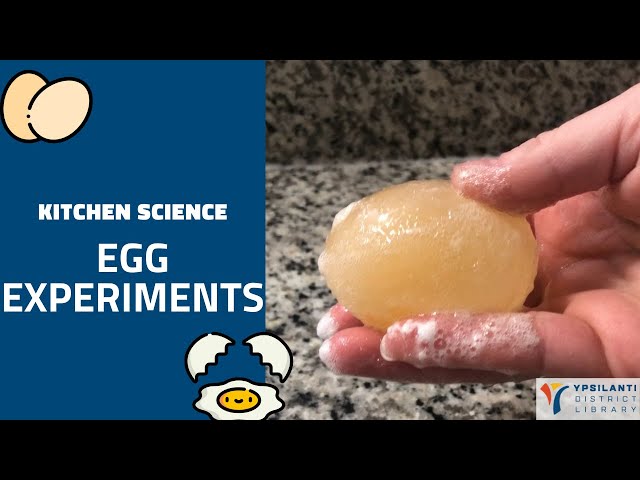 Kitchen Science: Egg Experiments