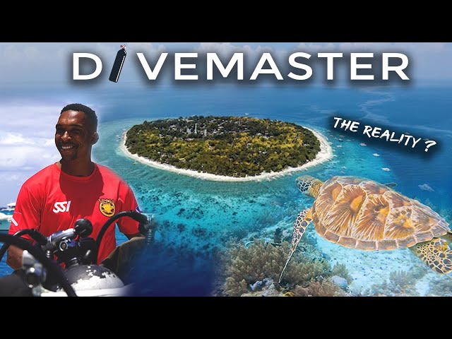 How HARD is the SSI DIVEMASTER training in 2026 ? (Scuba Diving VLOG)
