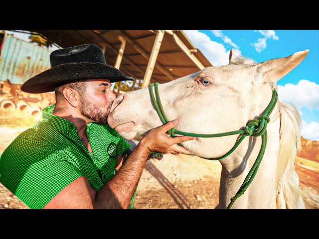 FUI COMPRAR MEU CAVALO NOVO !! * eu quero esse branco dos olhos azuis * 🐴😍 80 mil reais !!