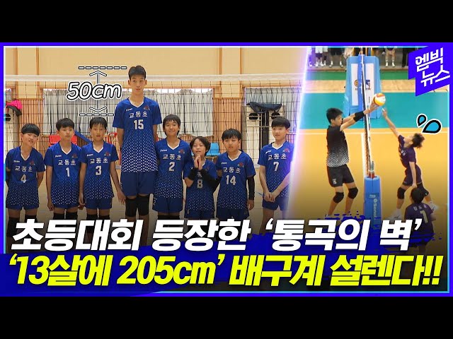 점프 없이 블로킹을?! 초등생 배구대회에 등장한 '205cm' 유망주!