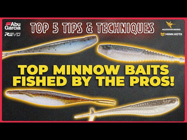These minnows are blowing up tournaments! Abu Top 5 Tips, Trends in Bass Fishing!