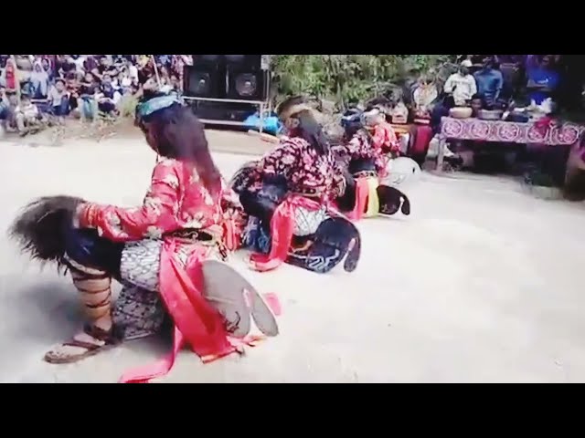 Seni Tari Cewek Jaran Pegon  Budoyo Putri Jowo Cukuhbalak