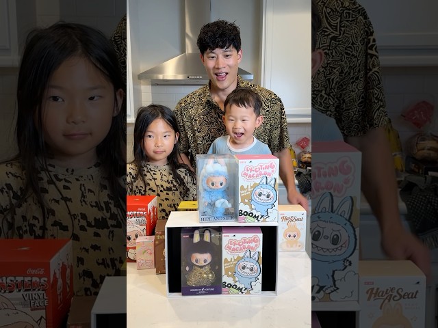 Match the LABUBU (Wings of Fortune & Exciting Macaron)