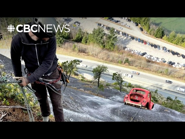 B.C. Parks working on plan to remove vehicle from Squamish rock face