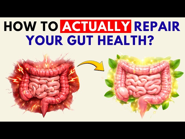 5 Habits that ACTUALLY Repair Your Gut and Stop Bloating (Science Explained)