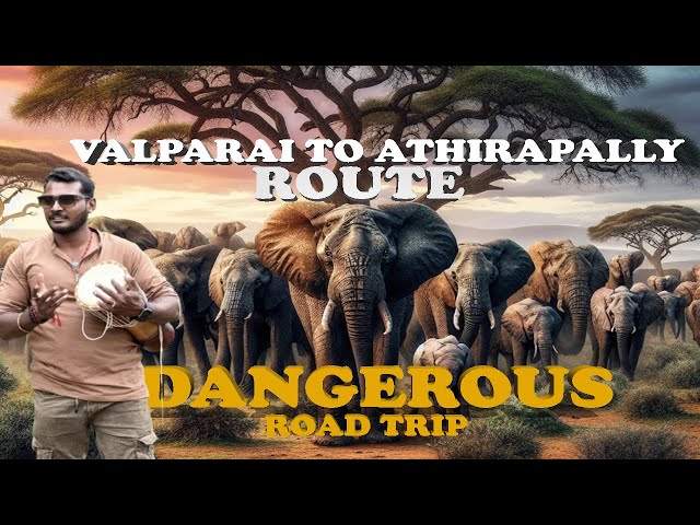 Valparai To Athirapally Route | Dangerous Road | Elephant Attack | Fly With Vicki