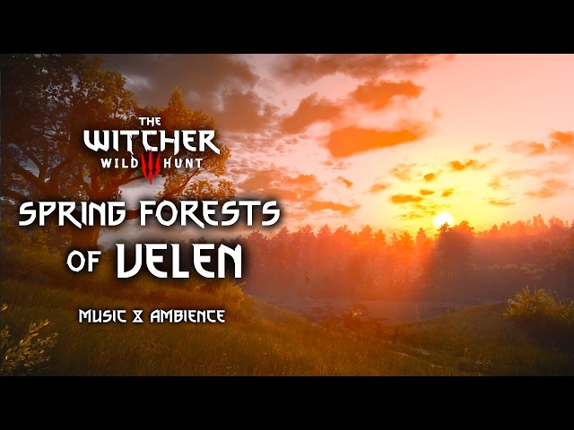 Spring Forests of Velen | Witcher 3 Music & Ambience | Sleep, Study, Relax | No ADS | 3 Hrs