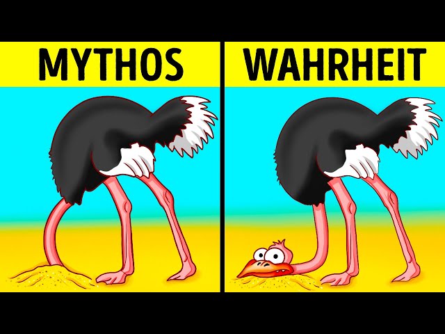 101 faszinierende Fakten, die Sie fesseln werd