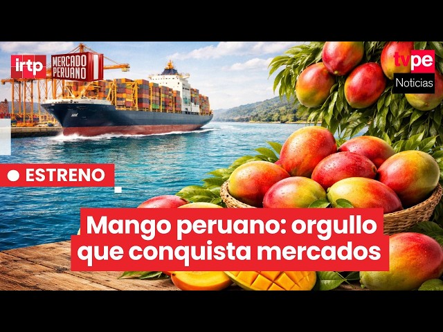 Peruvian mango exports are growing: stories behind this crop | “Peruvian Market”