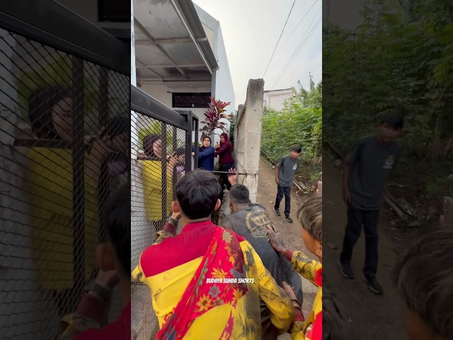 Teriakin Kuda Lumping Malah Terpojok Ibu Ini Di Dalam Gang!! Seni Benjang Mekar Budaya