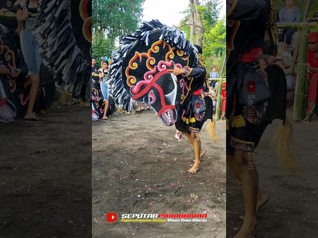 JARANAN PEGON INDONESIA#jarananndadi #jathilanndadi #jarananpegon #jarankepang #kudalumping #jaranan