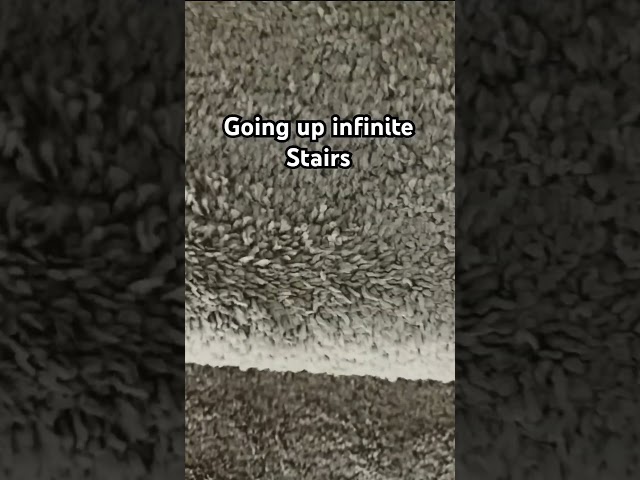 Was the loop good? #funny #trending #shorts