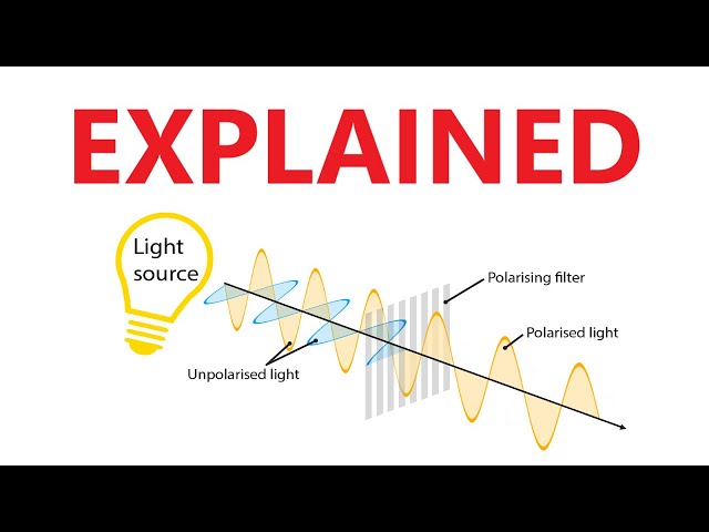 A Level Physics: What is polarisation?