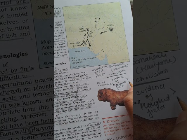 lesson-1 brick bead and bones  class -1