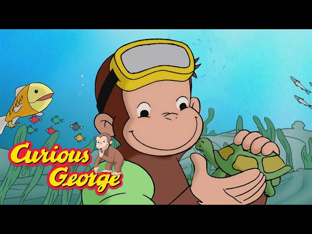 An Underwater Monkey 🐵 Curious George 🐵 Kids Cartoon 🐵 Kids Movies