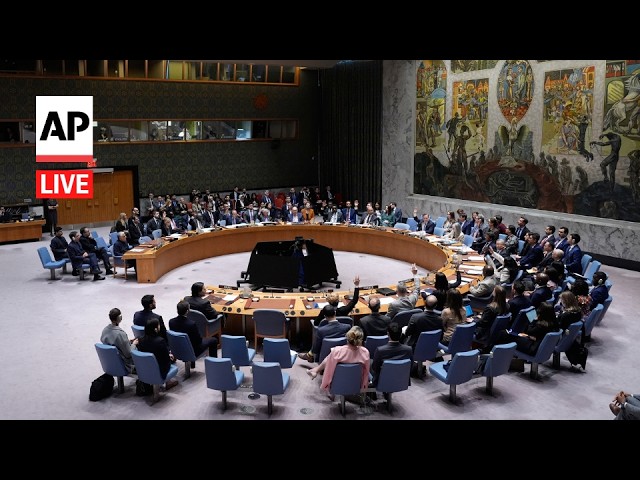 LIVE: UN Security Council holds meeting on the Iran war