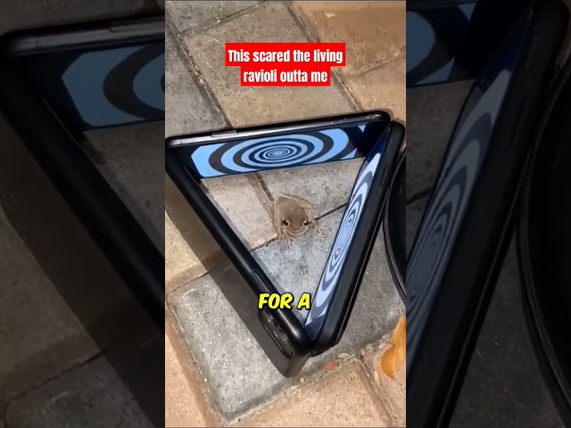 This scared me so bad.. @theloop322