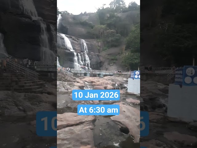 Courtallam live today | kutralam falls main falls today kuthalam #falls #tenkasi