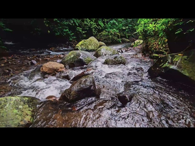 Peaceful River Sounds 🌊 Natural Water Flow White Noise for Deep Sleep, Relaxation and Focus 🌙