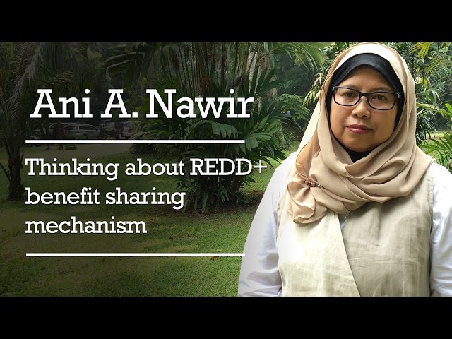 Ani A. Nawir - Thinking about REDD+ benefit sharing mechanism (BSM)