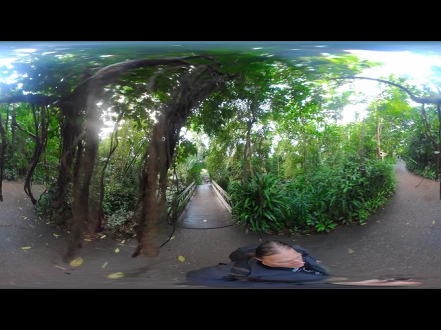 Burger's Zoo - Bush #2 - VR360
