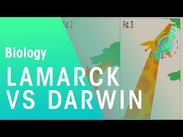 Theories of evolution Lamarck vs Darwin | Evolution | Biology | FuseSchool