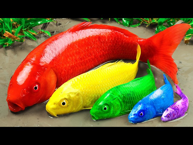 Best Of Small Fish Recipe | MINIATURE Fish Cooking Made EASY with Simple Recipe