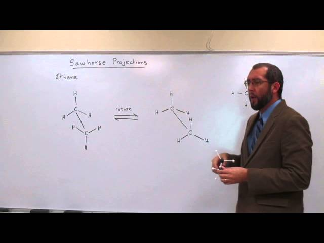 Sawhorse Projections Lecture 009