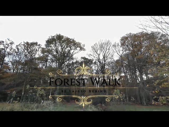 Laszlo Buring - Forest Walk