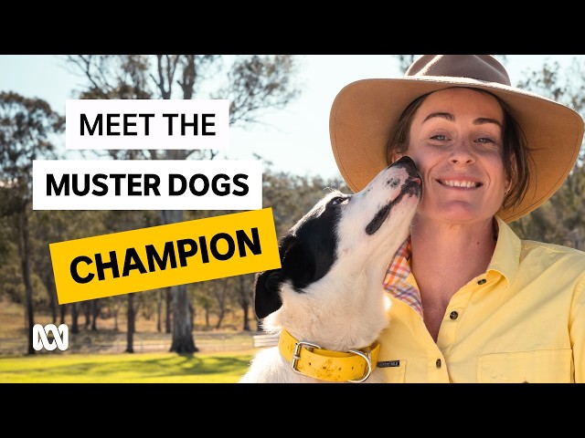 Courtney's journey from city girl to 'badass stockwoman' | Muster Dogs