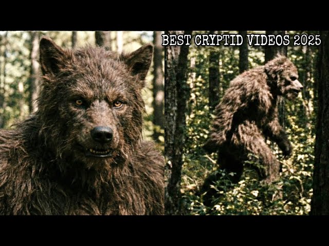 Every CLEAR Cryptid Video Released in 2025! 