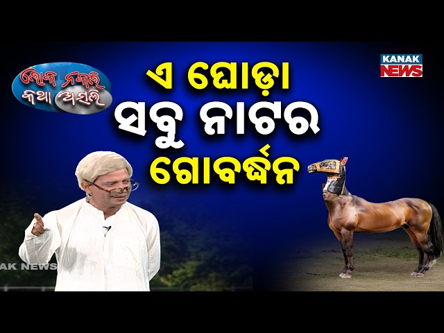 ଏ ଘୋଡ଼ା ସବୁ ନାଟର ଗୋବର୍ଦ୍ଧନ...| Loka Nakali Katha Asali | Horse Trading | odisha Politics | New Comedy