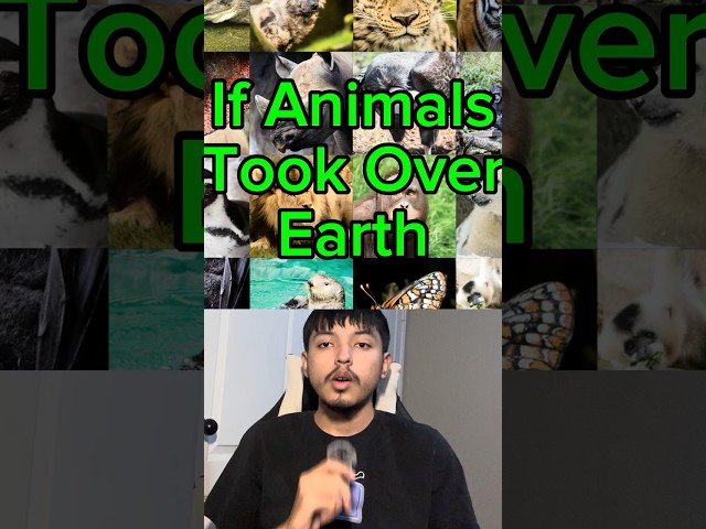 We are DONE if Animals Take Over Earth