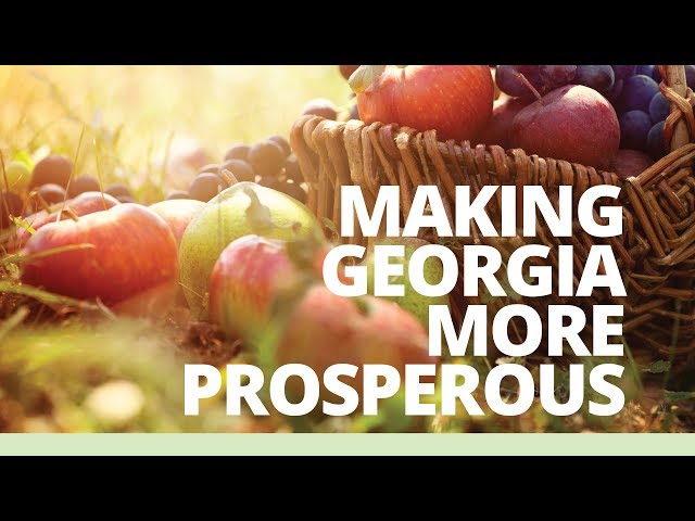 Georgia: Level up national agroinsurance