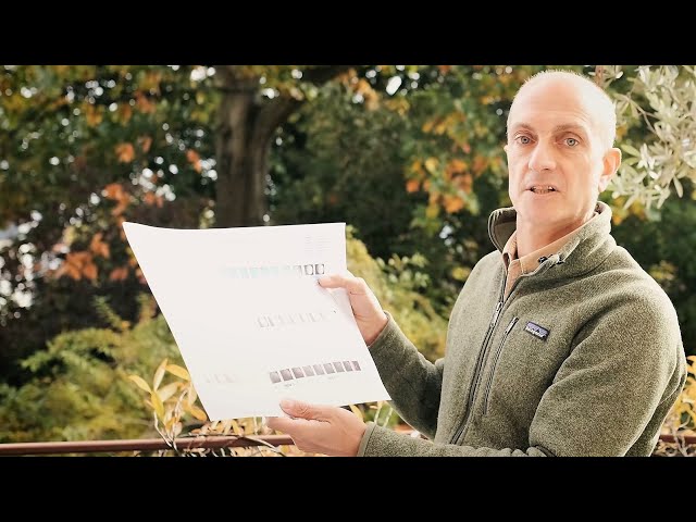 Life of Earth in a Year - past present and future