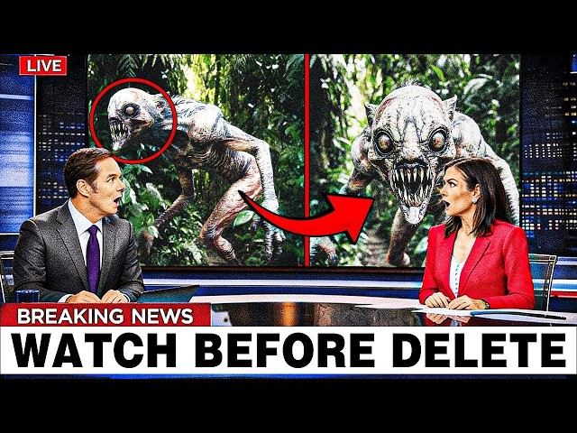 Trail Camera Caught TERRIFYING Creature in the Woods — What Happened Next SHOCKED Everyone!