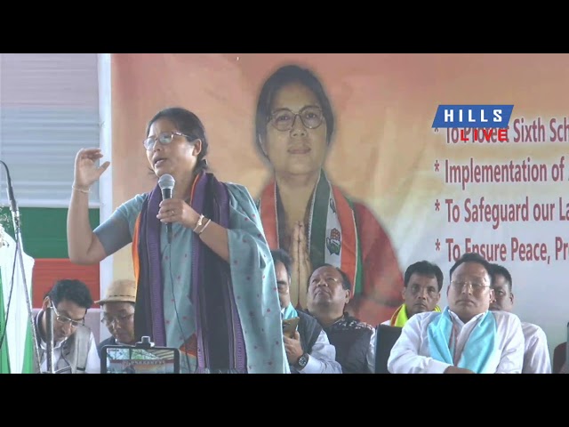 Dima Hasao District Congress holds General Election Rally at Lal field, Haflong