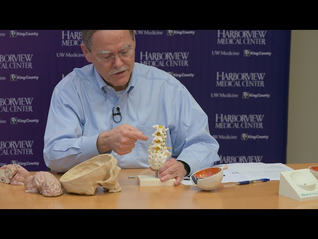 UW Neurologist Reveals How Deep Space Alters the Human Body