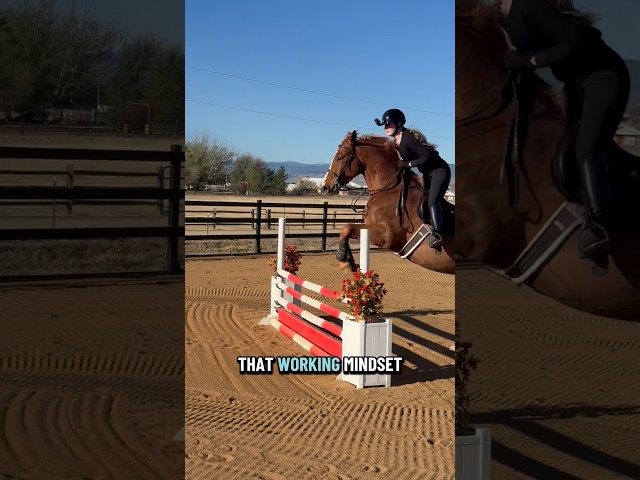 I’m pretty impressed with how well behaved he is even when he’s a bit wild!!😝