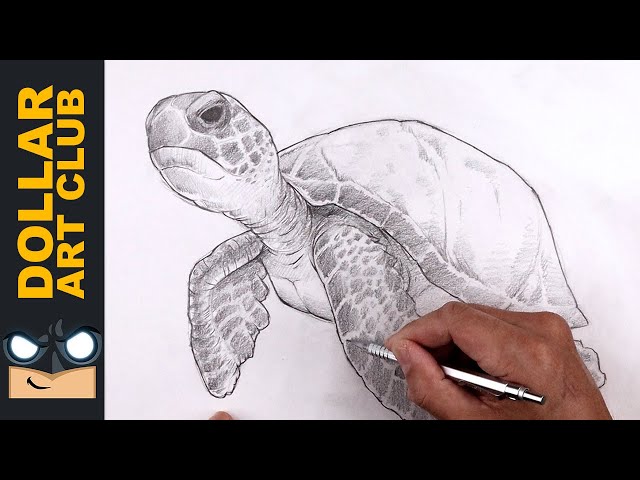 This Sketch Challenge Will Train Your Hand Like a Pro