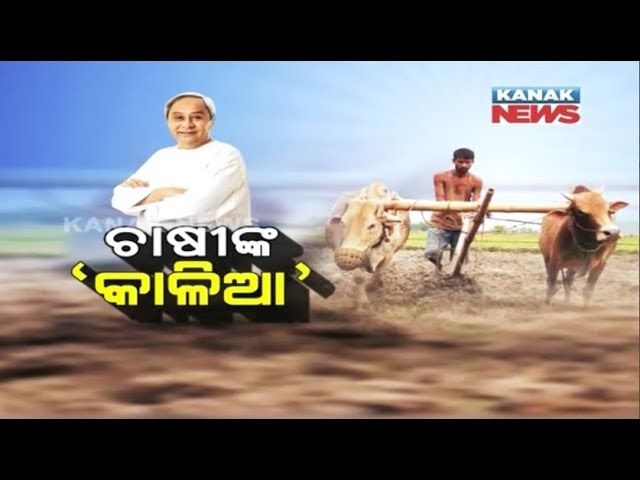Janata Darbaar: Odisha Govt Announce "KALIA" Scheme To Provide Financial Aid To farmers