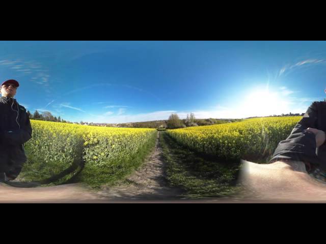 Weg durch den Raps 360