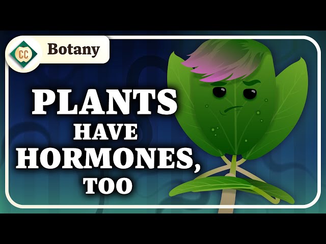 Plant Cells & Hormones: Crash Course Botany #3
