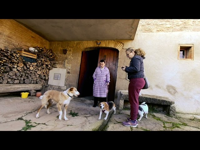 [VR180 3D] Doggy snack time | Canon R7 + RF-S3.9mm F3.5 STM DUAL FISHEYE lens