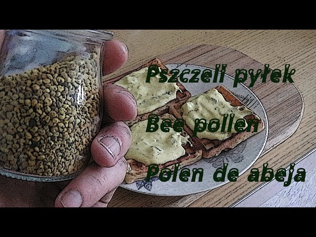 Jak można jeść pszczeli pyłek - Bee pollen  - Polen de abeja -  Phailin - Oszir w Kuchni #2