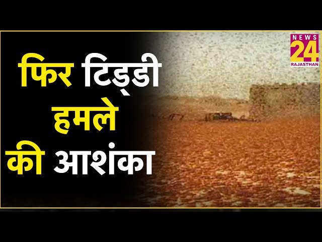 Pakistan से फिर टिड्डी हमले की आशंका, सरकार ने उठाया ये कदम