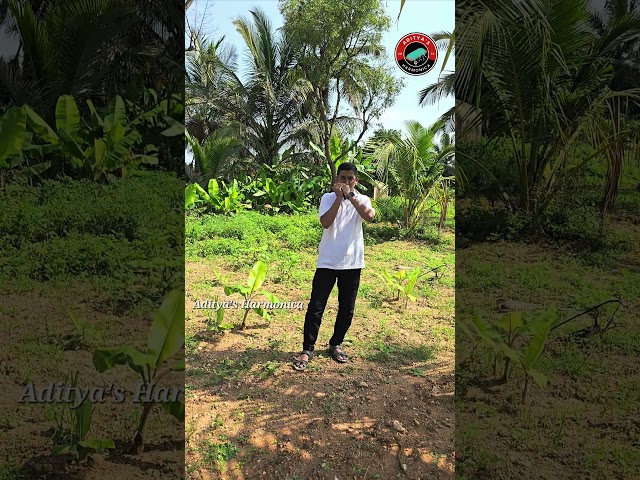 Jab Koi Baat Bigadjaye | Jurm (1990) | Harmonica Cover By Aditya Kashid #music #cover #tseries #good